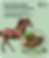 Beet pulp feeding starter plan generator showing beet pulp feed and a horse