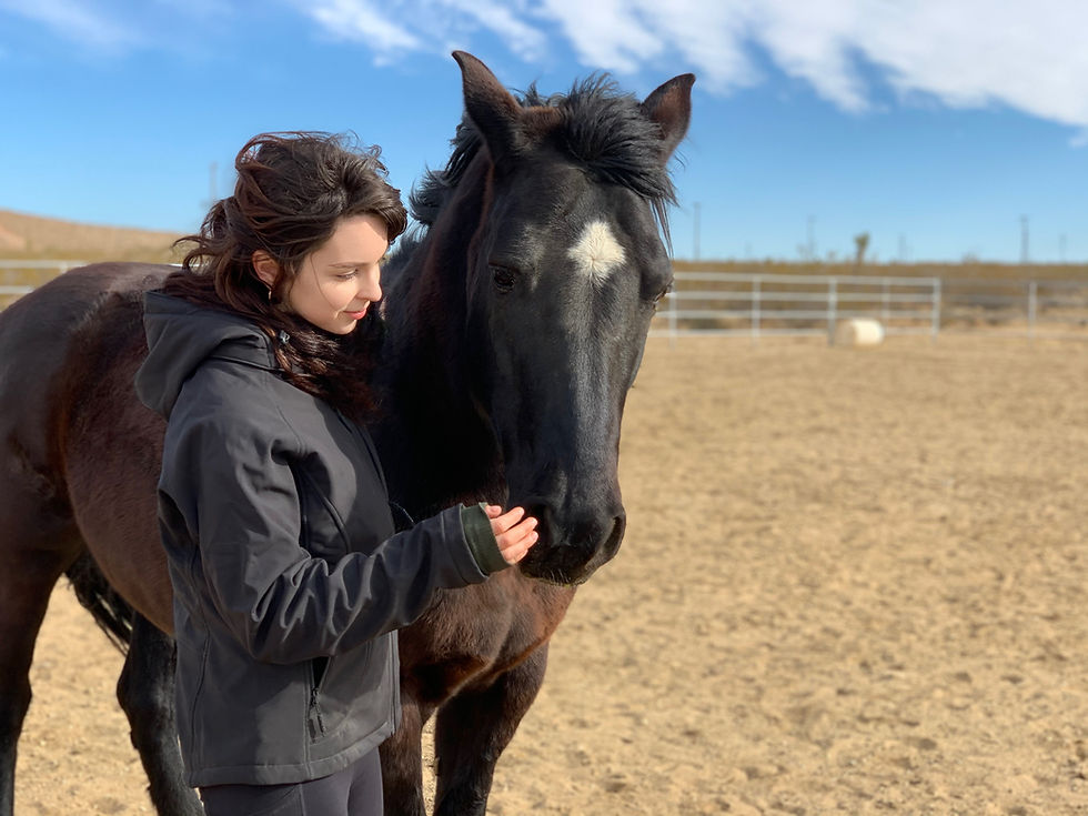 Woman in a black jacket gently interacts with a black horse with a white spot on its forehead in a sandy corral under a clear blue sky.