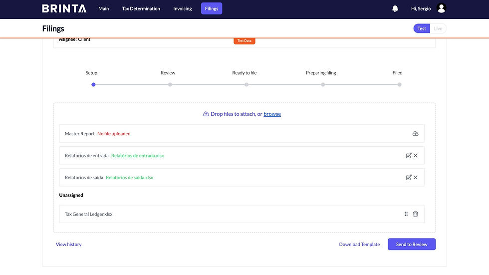 Brinta Setup stage with options to upload essential tax data files, displaying the list of uploaded documents ready for processing.