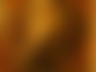 Who's The Love Of Your Life?