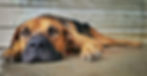Slider 1a