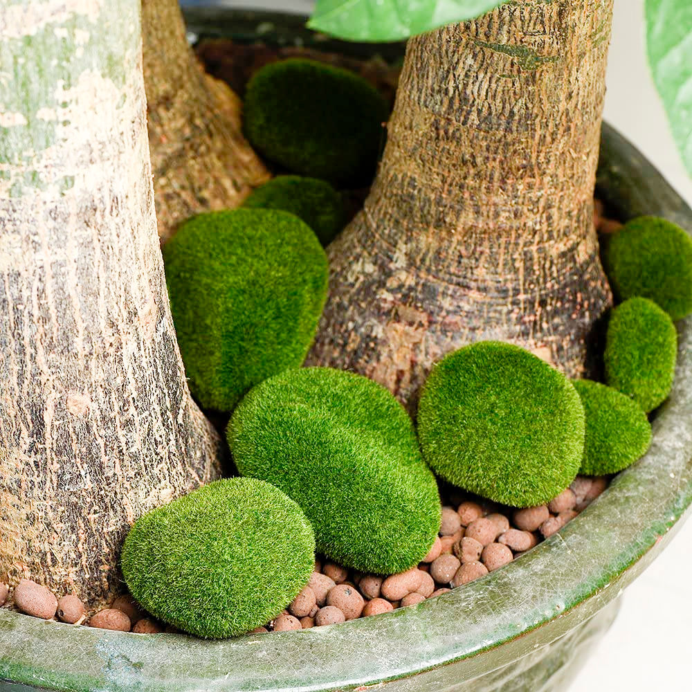 PIEDRAS DE MUSGO ARTIFICIAL