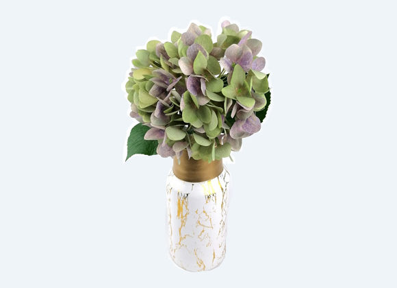 Miniatura: Flor hortencia