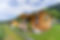 Mobil Homes.jpg
