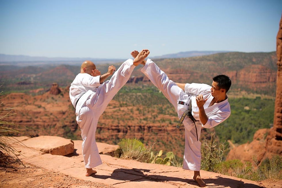 Washin Ryu Karate Do