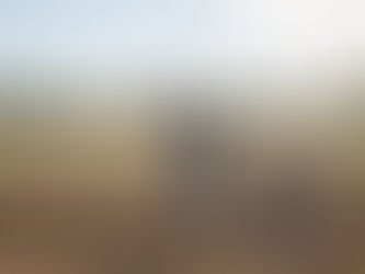 Erste Fahrt ins Grüne