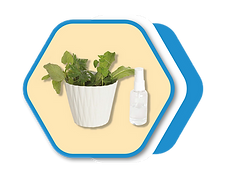 Nasıl Bulundu - Bölüm 1 - Saat (MÖ 4000).png