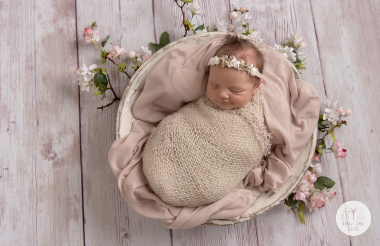 newborn baby studio photo portrait