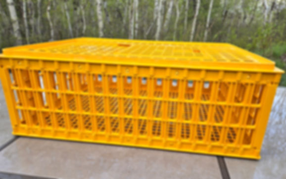 Animal/Bird Transport Crate