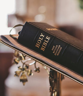 Study the Word daily