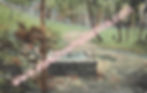 0205 - MCP - SUPLHUR SPRING - PHOTO ART