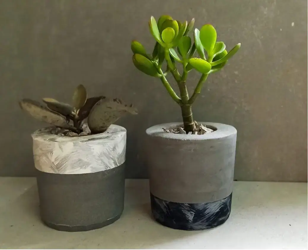 סדנת יצירה עציצי בטון בזום: 11:00 / 22.10