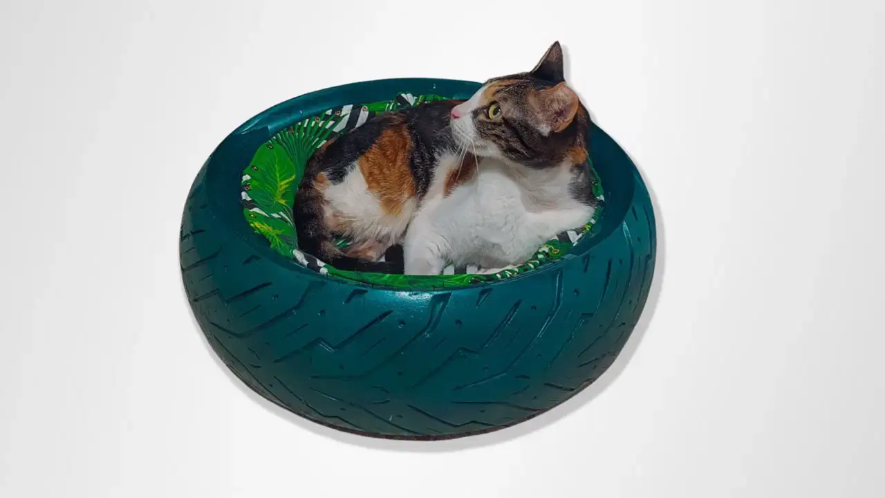 ערכת ליצירת מיטת חתול או כלכלב קטן