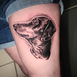 313517577_1031672504457054_1225075872447313443_n