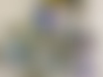 七夕!!笹に願いを込めて!!