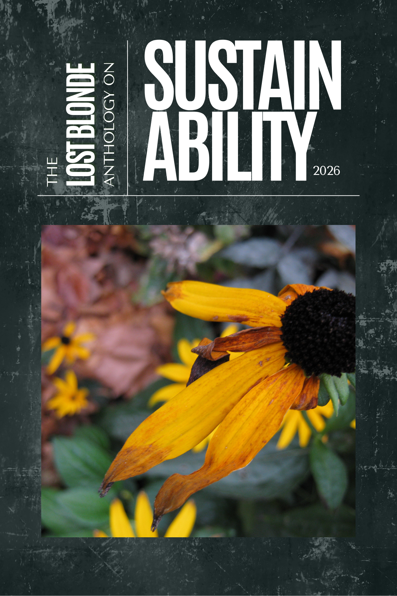 The Lost Blonde Anthology on Sustainability