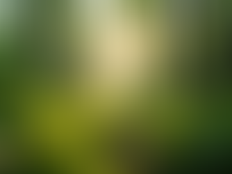 Keeping Your Dog’s Teeth Clean and Breath Fresh