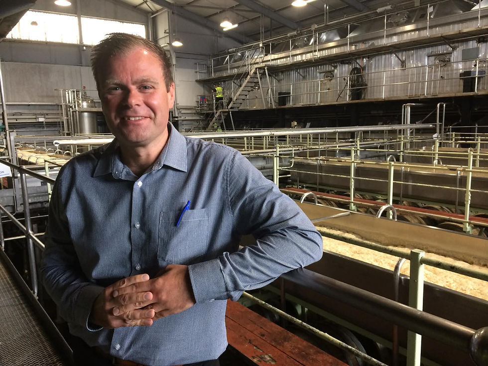 Patrick McGinty, then head brewer for Marston’s, in the Union fermenting hall at the brewery in 2019, when the future of Pedigree was brighter.