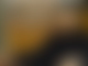 Terugblik op onze tweede ZOOM-vergadering op vrijdag 11 dec, met Katelijne Dessein over Peter Benoit