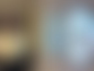 Terugblik lezing Harry De Paepe ‘Flemings’ - 6 maart 2026, De Witte Meren