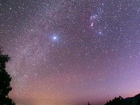 Terugblik literair-culinair kerstdiner - 11 dec. 2025, Kloosterhoeve, Rotselaar