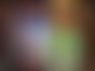 Terugblik bezoek Huis van Eetvelde | za 11 okt 2025, Brussel