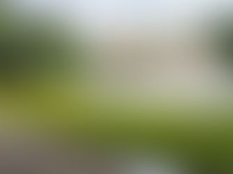 Terugblik tegenbezoek bij afdeling Meise | 15 juni 2024