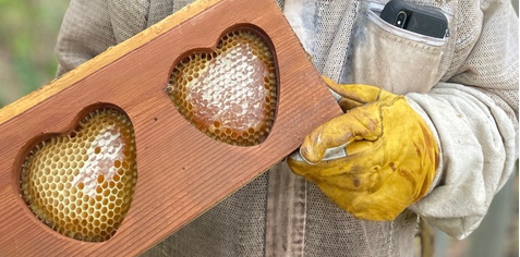 POTLUCK - Napa County Beekeepers' Association - RSVP ASAP!!