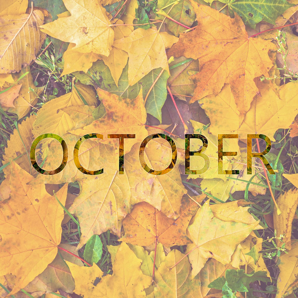 Ayurvedische tips voor oktober