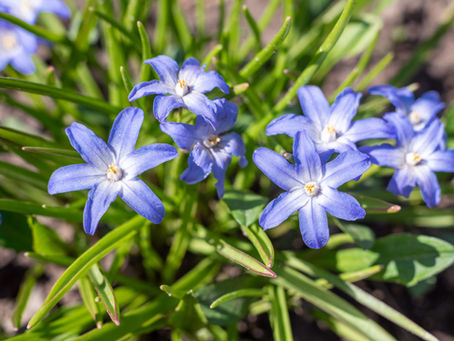 Vata, Pitta en Kapha in april