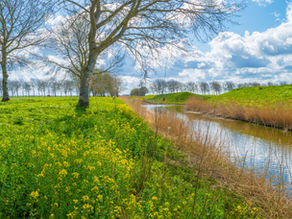 Vata, Pitta en Kapha in maart