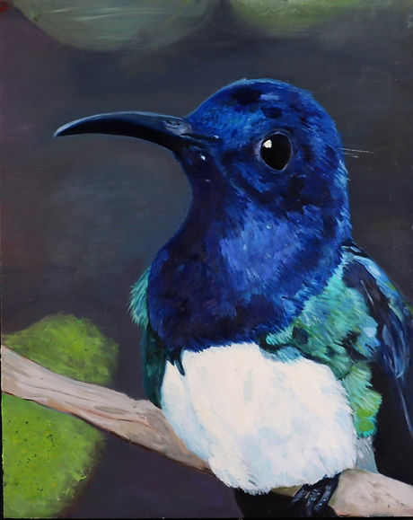 Blue.jpg