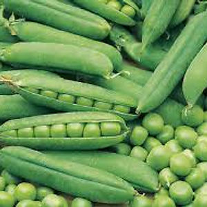 Petit Pois 500 Gr