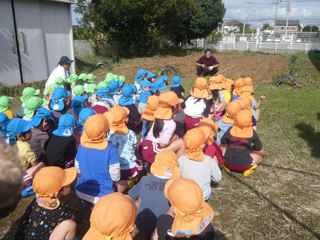 お芋さん、大きくなっているかな?