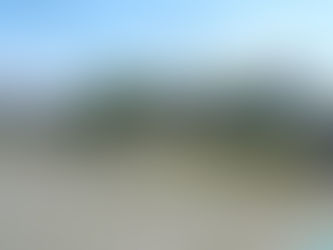 奉仕作業お疲れさまでした