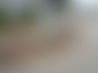 きれいなお花ありがとう