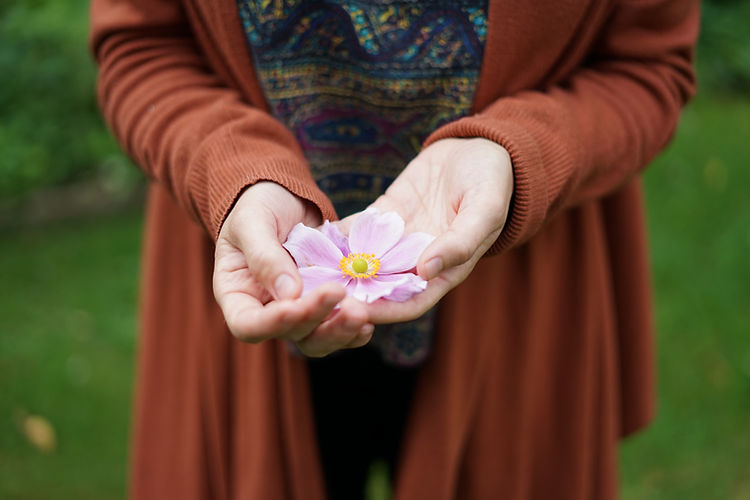 pretty flower.JPG