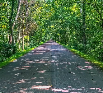 Holmes County Trail.jpg