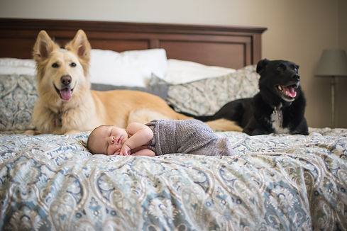 untitled (1 of 1)-8.jpg