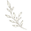 Picture2.png