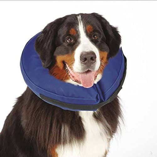 Miniatura: Collar isabelino inflable de protección