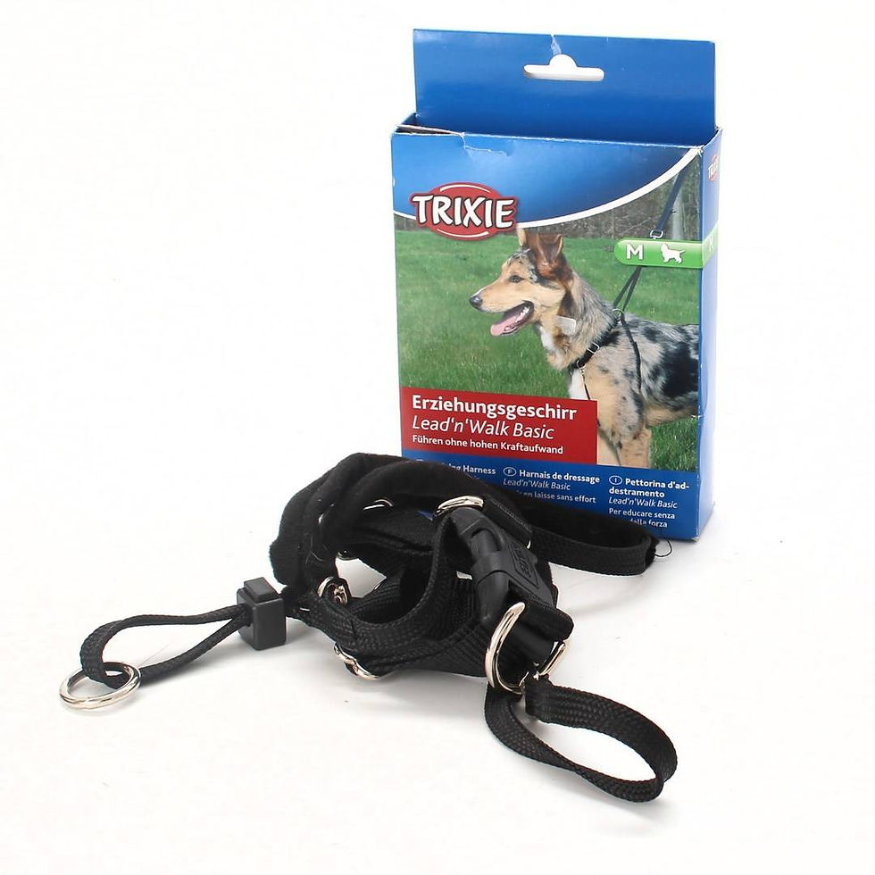 Lead'n Walk basic entrenamiento Trixie