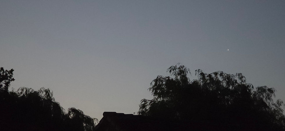 To here, in under 20 minutes... tell me that these are dead stars again one more time, I dare you.