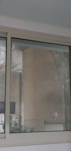 Вид из двух окон на дерево и дом