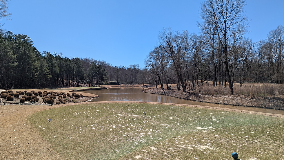 I obviously like Bear's Best (considering they were in my Top 5), but $135+ and not even getting range balls included or a few measly tees in the cart is crazy work.