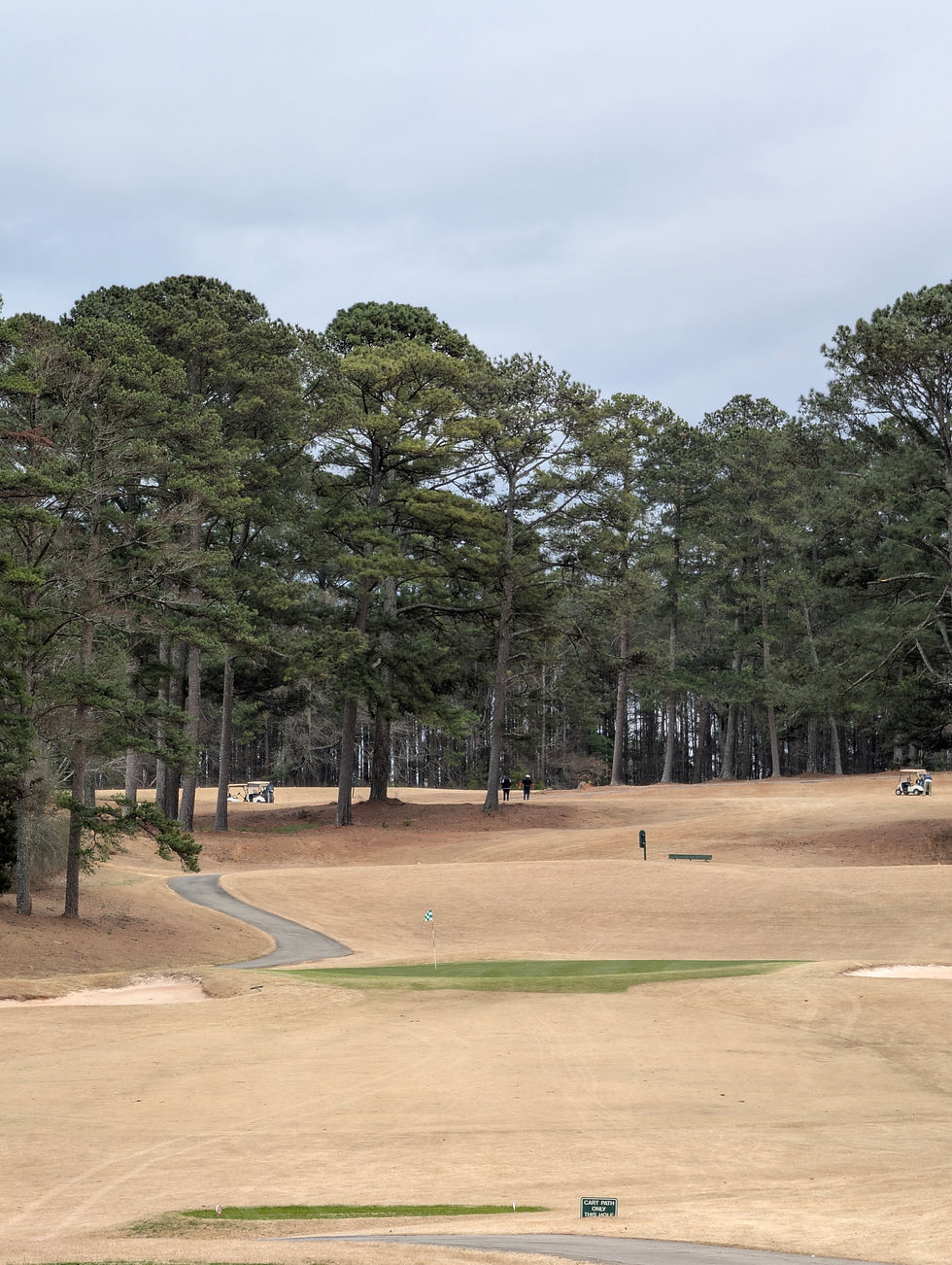 Mystery Valley - Hole 11 