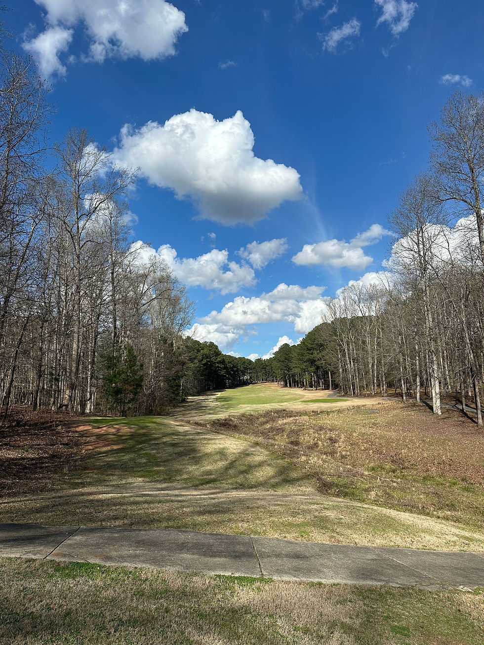 Hole 14 Tee Box