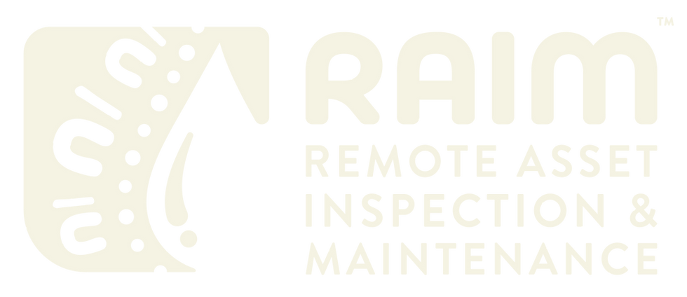 RAIM_brand.png