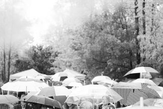 Black and white photo of the tops of clear umbrellas above all of the wedding guests.