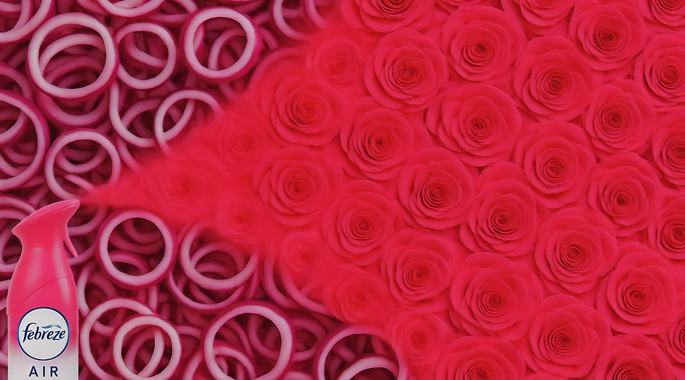 febrezeonions25_edited.jpg